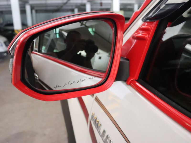 Rain Guard Mirror Cover for Hilux Revo