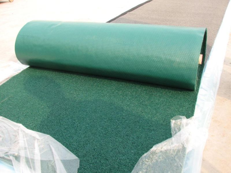 Custom PVC Coil Mat, PVC Coil Roll, PVC Coil Flooring, PVC Coil Sheet (3A5012)