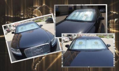 High Quality Car Sunshade for Sale