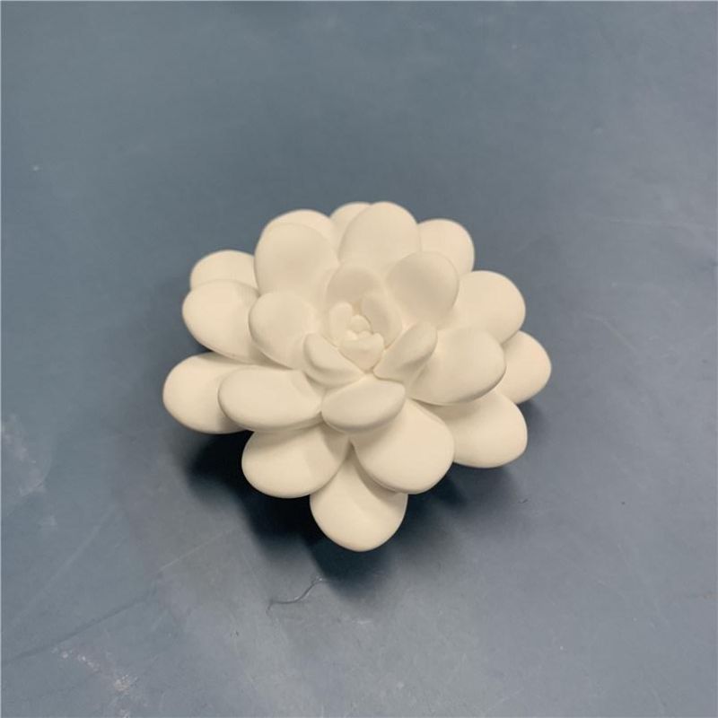 Customized Succulent Gupse Ceramic Aromatherapy Diffuse Stone