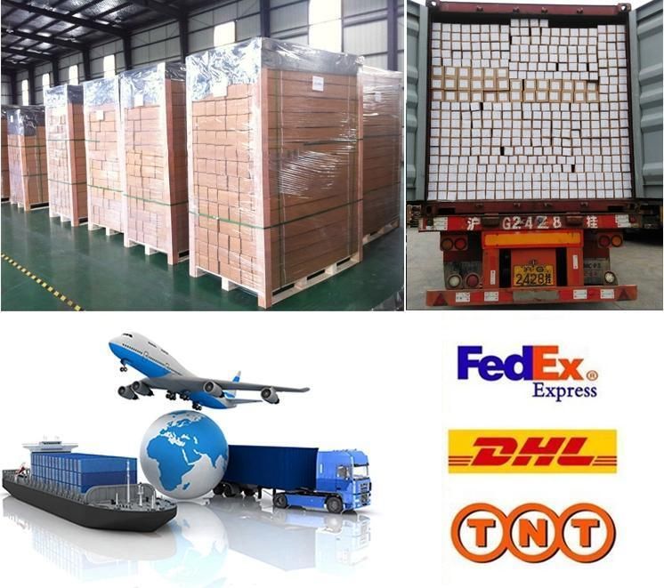 Eachsign High Quality Self Adhesive Vinyl for Printing