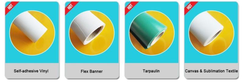 Best Selling Price Car Wrap Self Adhesive Vinyl for Decoration