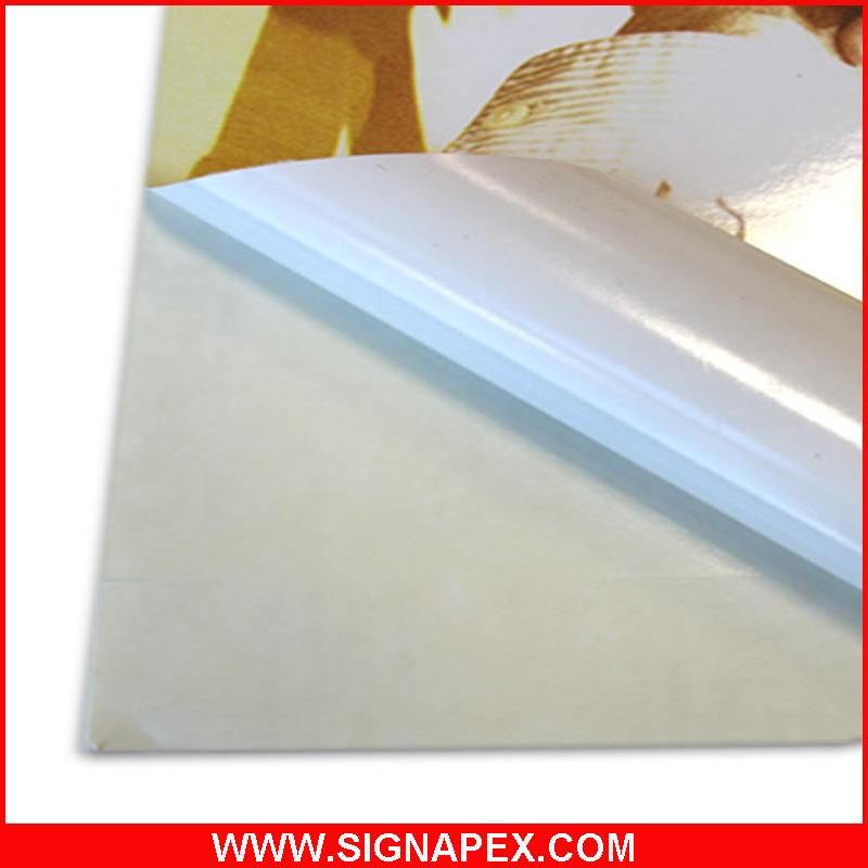 Self Adhesive Vinyl Sticker Roll