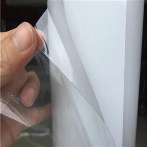 Hot Sale Transparent TPU Car Paint Protection Film (PPF Film)