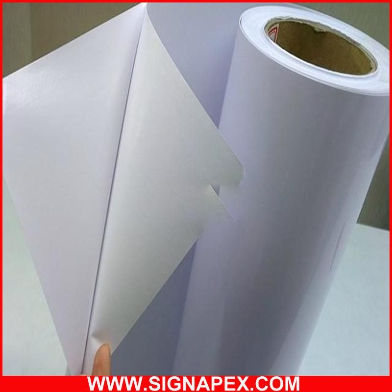 Self Adhesive Vinyl Sticker Roll