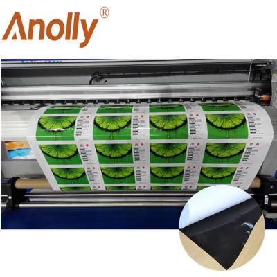 Printing Vinyl Glossy/Matt Self Adhesive Vinyl for Car Body