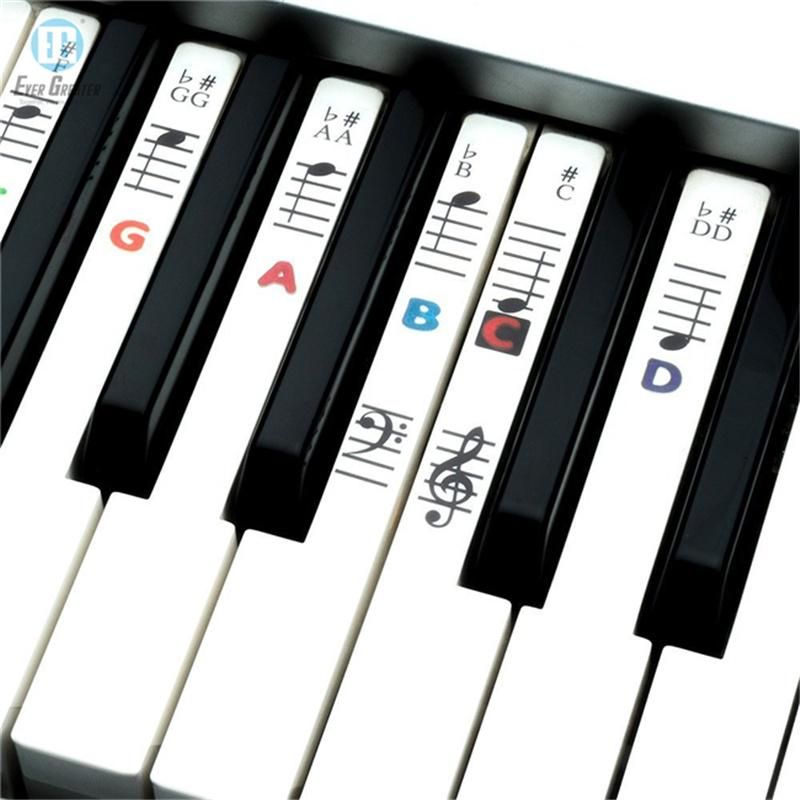 Custom Transparent Plastic Removable Piano Keyboard Note Stickers