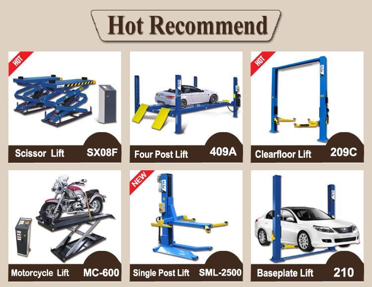 Super Symmetric Hydraulic Workshop Auto 2 Post Car Lift (209C)