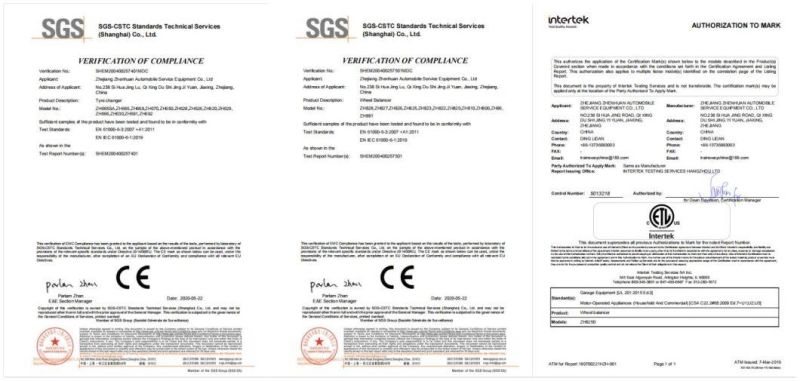 Auto Tire Changer Zh650ra Trainsway CE Approved Factory OEM