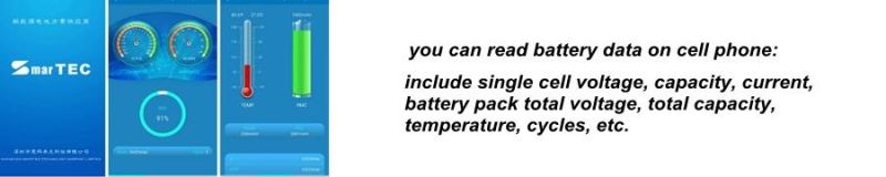 Shenzhen Smartec Manufacture BMS Liion 17s 70A Common Port with Waterproof Overcharge or Discharge Over Current Function