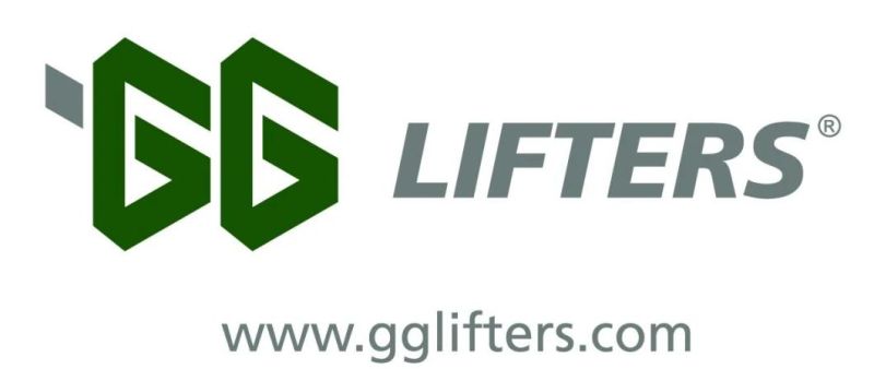 GG Lifters 2 post car alignment lift suppliers/hydraulic car lift