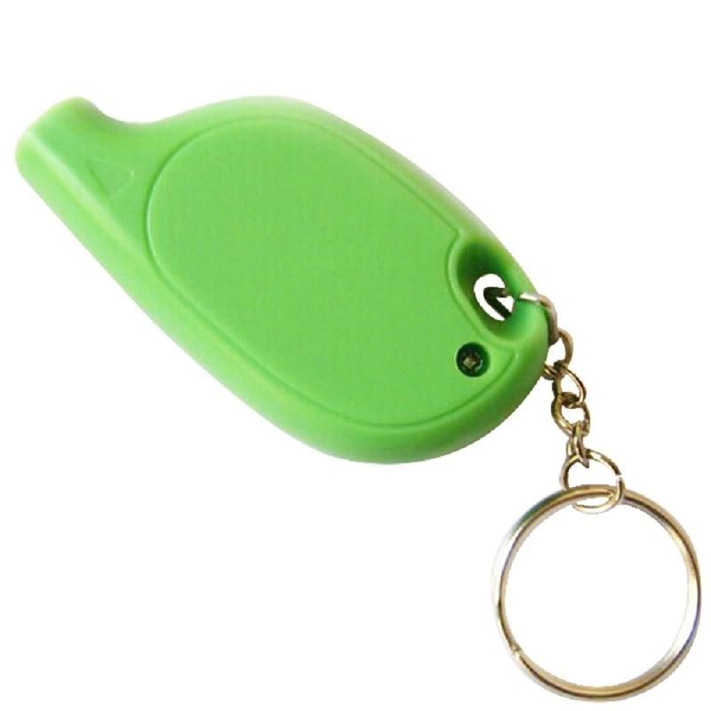 Digital Tire Pressure Gauge with Key Chain