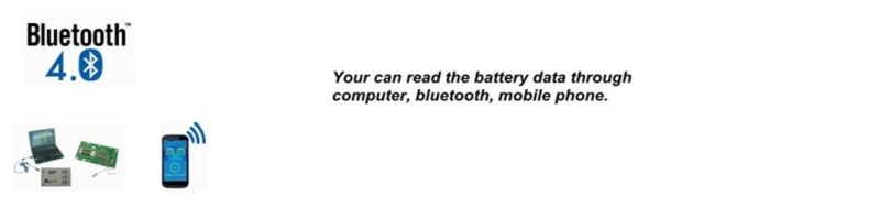 Shenzhen Smartec Manufacture BMS Liion 17s 70A Common Port with Waterproof Overcharge or Discharge Over Current Function