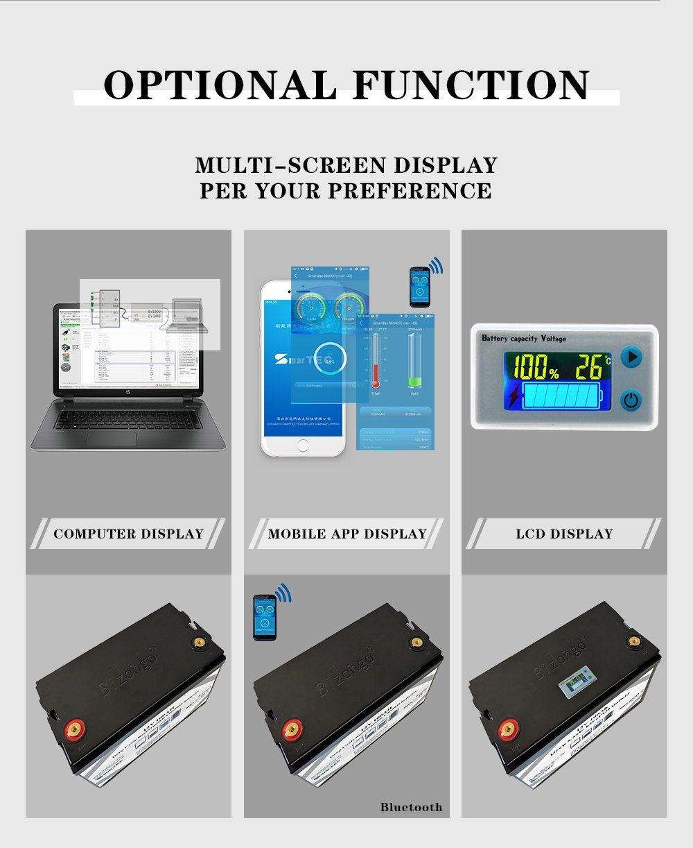 Smartec OEM/ODM Available 4s LiFePO4 BMS 12V 100A/120A/150A/200A Smart BMS with Bt/Uart/RS485 and Temperature