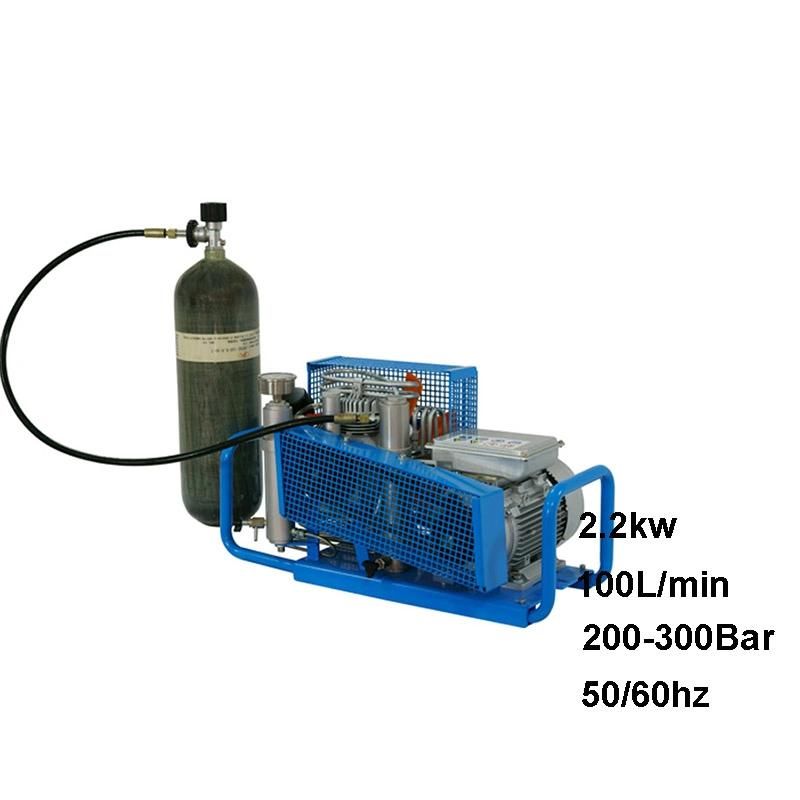 High Efficient 220V 125psi Compressed Air Pump System for Home and Workshop, Tank Mounted