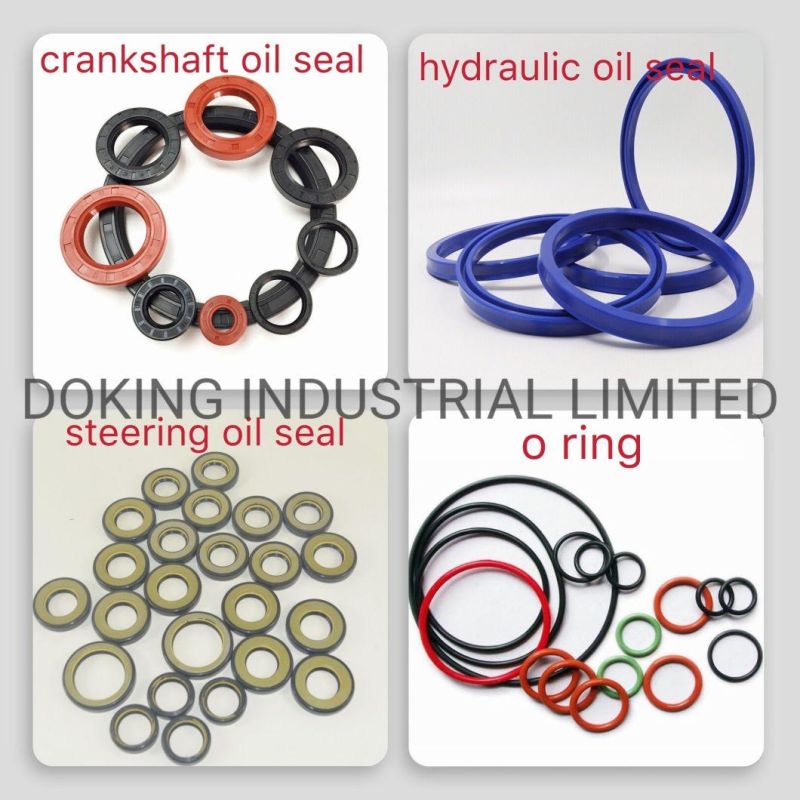 Htcl Double Lip FKM Viton Oil Seals 80*100*8.5