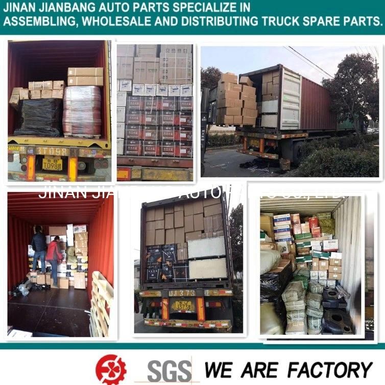 HOWO Shacman FAW Foton Beiben Camc Dfm Truck Spare Parts Cabin Parts