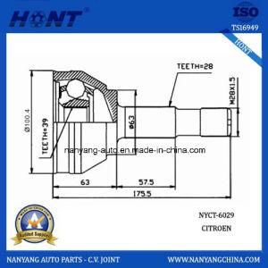 Citroen Car Steering System C. V. Joint 28-39-63 (NYCT-6029)