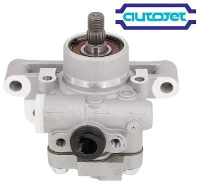 Power Steering Pumps for All Types of American, British, Japanese and Korean Cars in High Quality