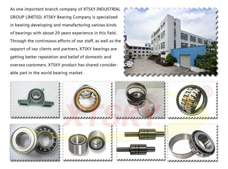 Factory Supplier Supply Eccentric Bearing 22uz8359