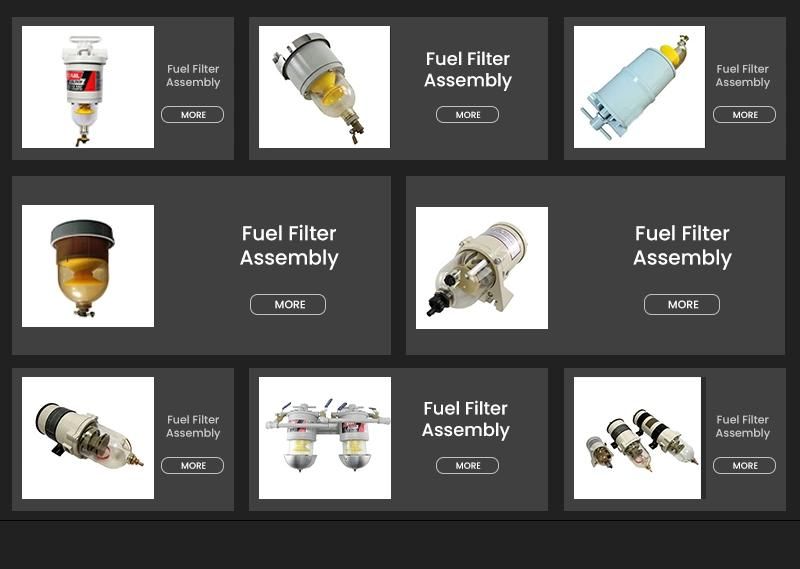 Fuel Filter Engine Parts for Man P551424 Generator Filter