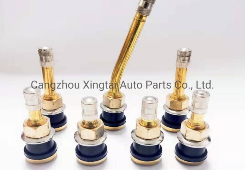 Aluminum Alloy/Zn Alloy/Copper Snap in Tubeless Car Tyre Valve Tr414