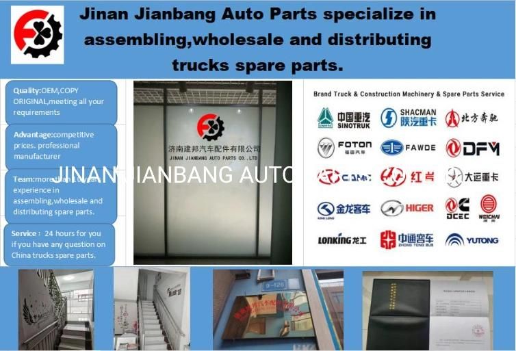 HOWO Shacman FAW Foton Beiben Camc Dfm Truck Spare Parts Cabin Parts