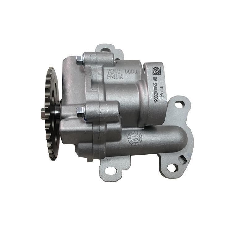 Manufacture Price Wholesale Ford Transit 7c19 6600 Ab/1c1q 6600 Cg/7c19-6600-Ab 1456884 /18 Oil Pump