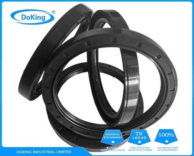 NBR FKM Tc Oil Seals Double Lips Seal Manufacturer