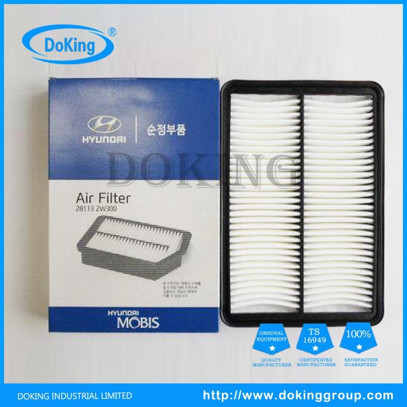 China Professional Supplier for Hyundai Air Filter 28113-2W300