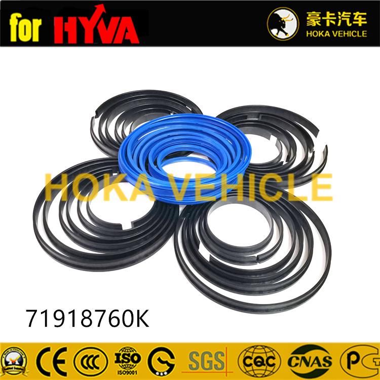 Truck Spare Parts Seal Kit 71908760K for Dump Truck Hyva Hoist System