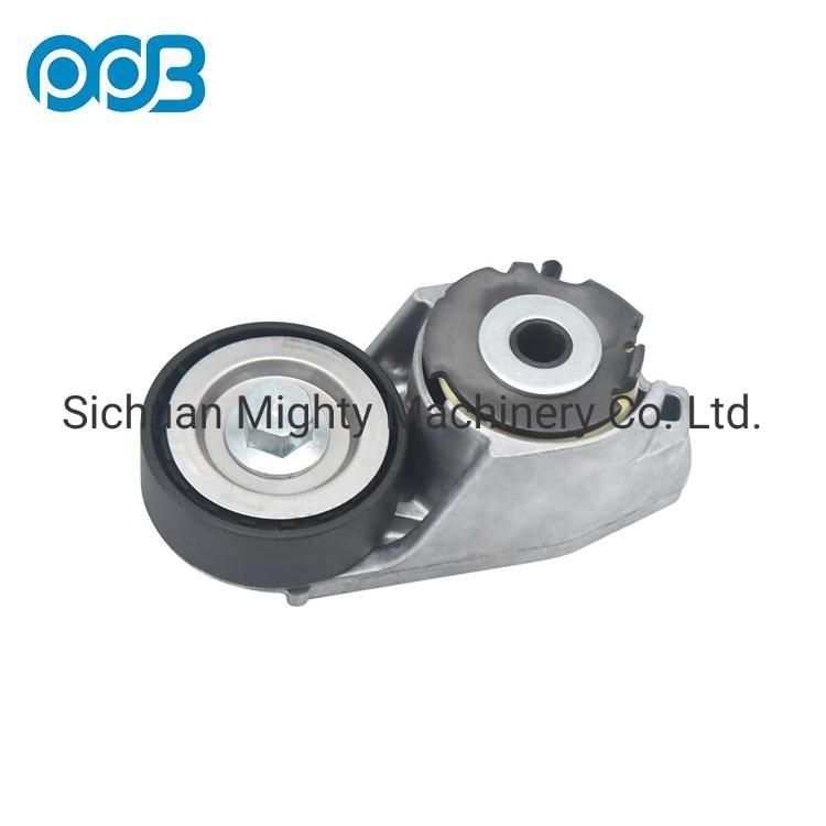 Auto Spare Tensioner Pulley Assembly for Ford Mondeo and for Jaguar X-Type 1132644 2s7e6a228AA 534016110 Apv2494 Vkm34025