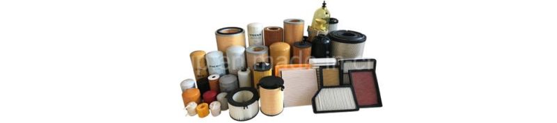 Xtsky Auto Part Manufacturer High Quality Auto Air Filter (OEM: 13717503141)