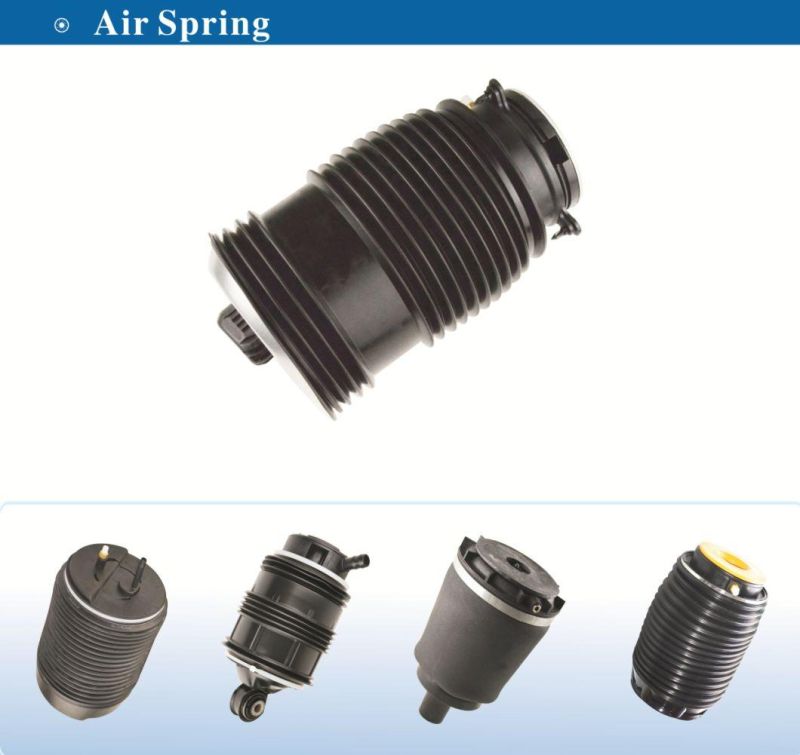 Air Spring BMW X6 E71 E72 X5 E70 Rear 37126790080