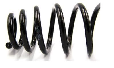 Hardware Automotive Extension OEM Service Composite Large Metal Coil Spring.