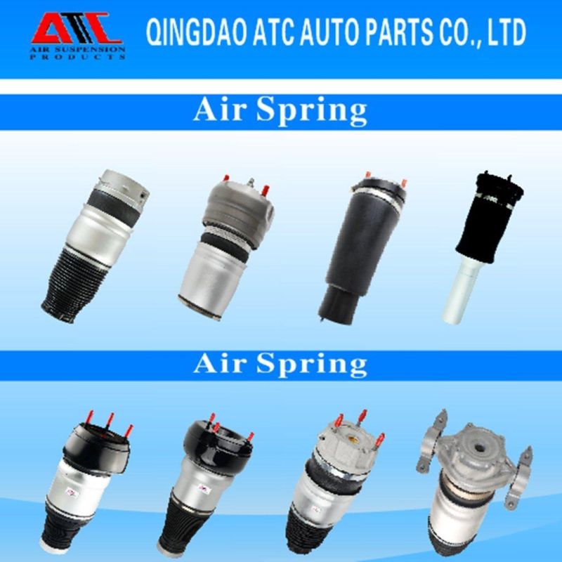 Car Parts Ride Height Adjustment Suspensions for Benz R-Class W251