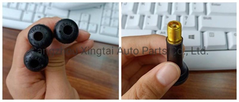 Aluminum/Zn Alloy/Copper High Quality Snap in Tubeless Tyre Valve Tr415