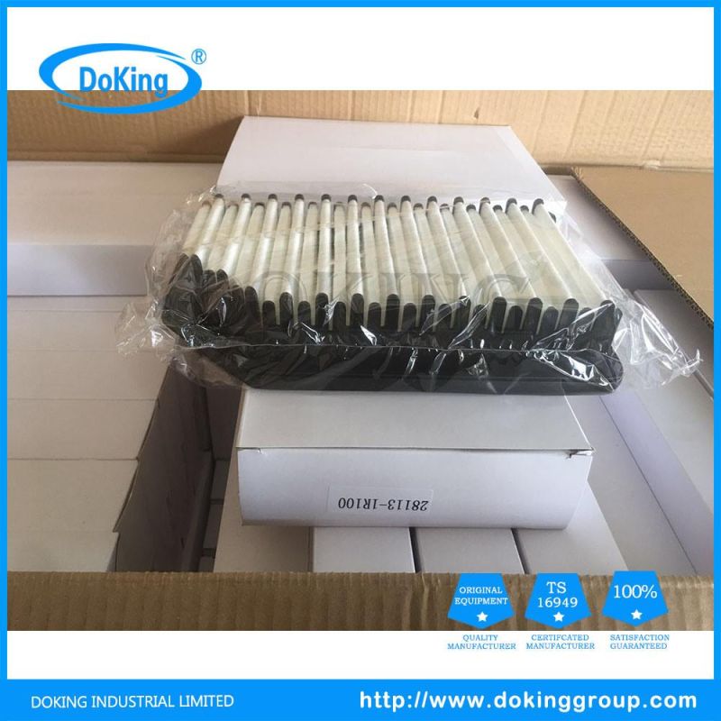 Factory Price High Performance 28113-1r100 Auto Plastic PP Air Filter in Car