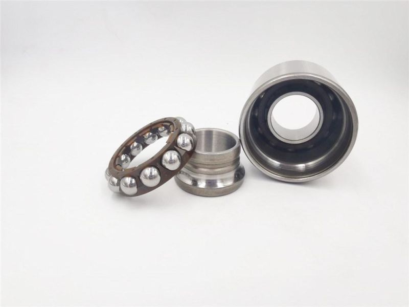 Factory Supply 21843 803837 C572 10921843 FC12271 7703090365 FC12271s02 Wheel Bearing for Nissan with Good Quality