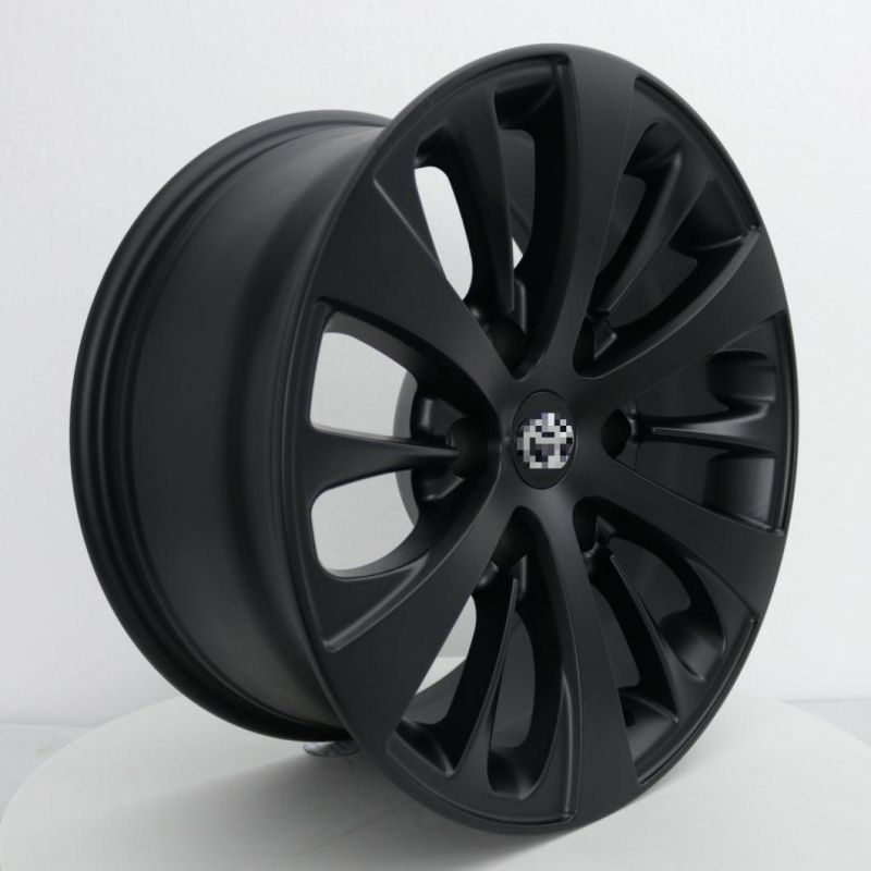 21X9.5, 22X9.5 20*9 Inch Monoblock Forged Wheels for Car, 1PC Forged Car Alloy Wheels