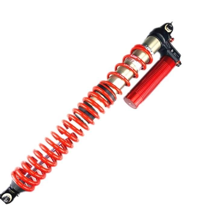 4 Ways Adjustable Professional Racing Coilover Shock Absorber for Buggy