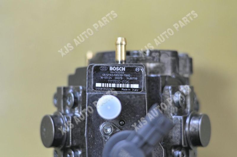 Great Wall Fuel Pump 1111300-E06