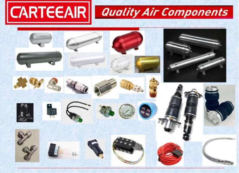 X280 150psi/1.59cfm Air Compressor Accessories Air Strut Suspension Air Horn Compressor for Car