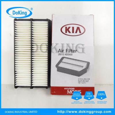 Hot Selling Air Filter 28113-4D000 for Hyundai/KIA