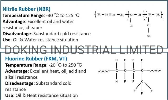 FPM/NBR Rubber Product Oil Seal (TC/SC/SB/SA/TB/VC/TCN)