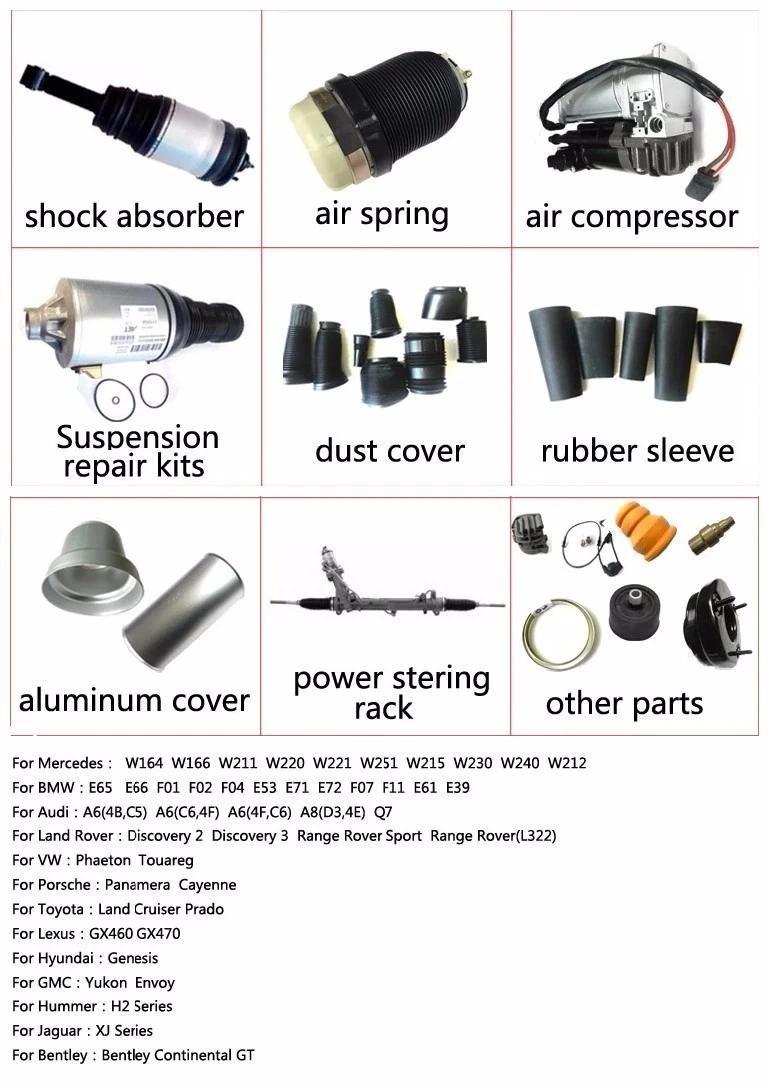 Audi Q7 Rear Air Suspension Shock Auto Parts