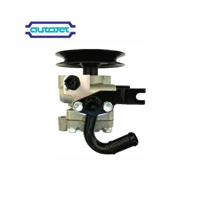 Power Steering Pump for Hyundai H1 H-1 Starex 07 57100-4h200 Auto Parts High Quality. Best Price