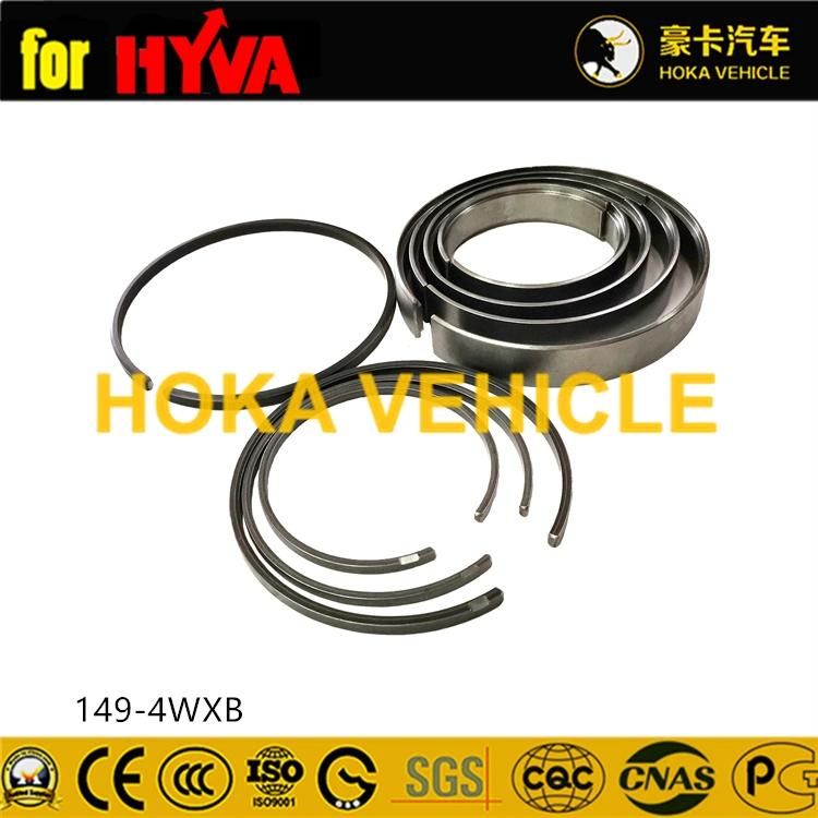 Truck Spare Parts Seal Kit 149-4wxb for Dump Truck Hyva Hoist System