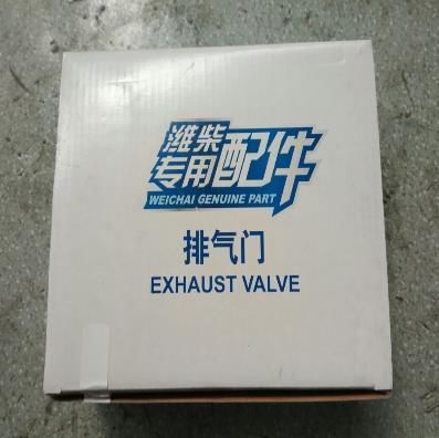 Weichai Wd10 Enige Parts Exhaust Valve 612600050025