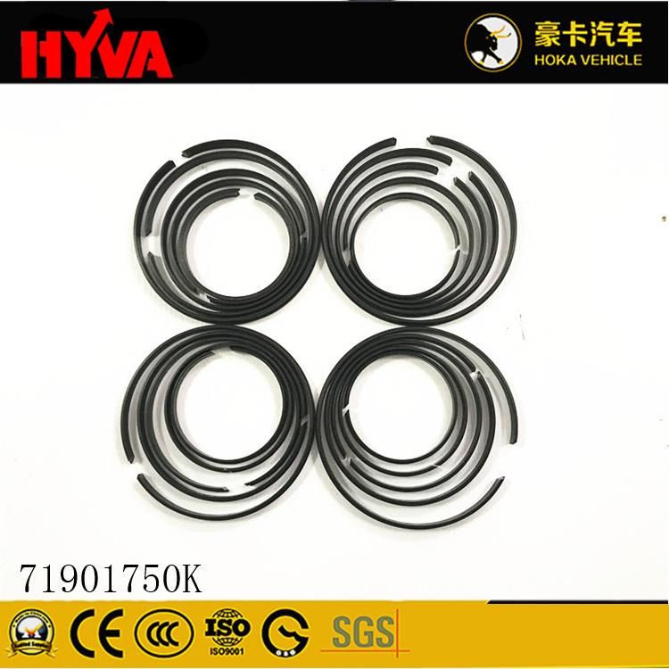 Original and High-Quality Hyva Spare Parts Seal Kit for 191-5 71901750K